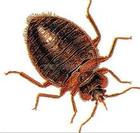 ���x����