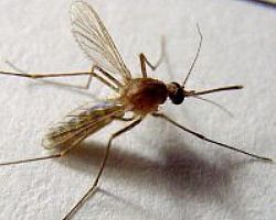 ���x����