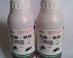 �|ݸ���x��˾���I���xˎ��-�Ұ����Ⱦ�