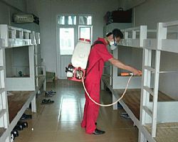 �|ݸ�ЏS�����ᚢ�x