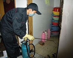 �|ݸ�м�ͥ�������x