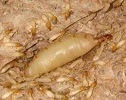 �}���ρ����