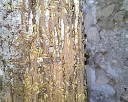 �皢���N�ρ