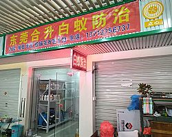 �gӭ���T(m��n)ǢՄ�����I(y��)��(w��)